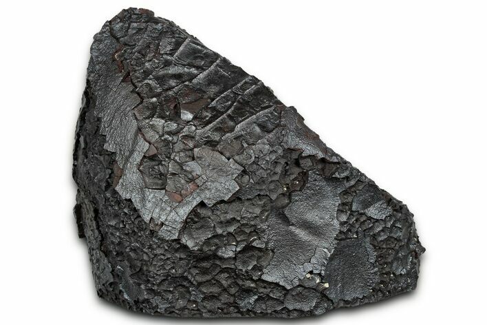 Dragon Scale Stone (Iron, Manganese, Siderite Nodule) #330310